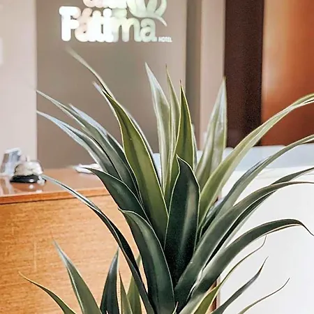 Coroa De Fatima